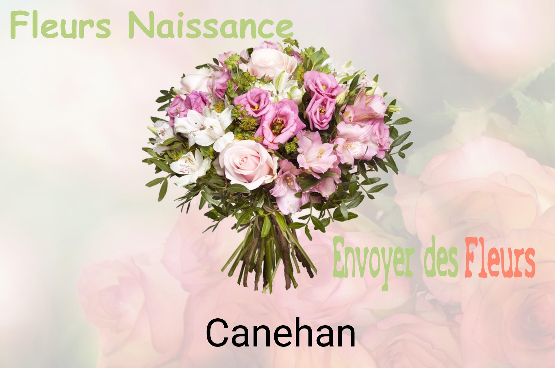 Bouquet de fleurs de naissance livré à Canehan